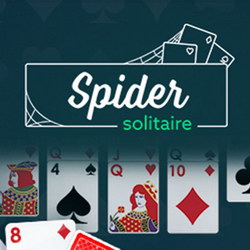 Spider Solitaire Pro - Online Game